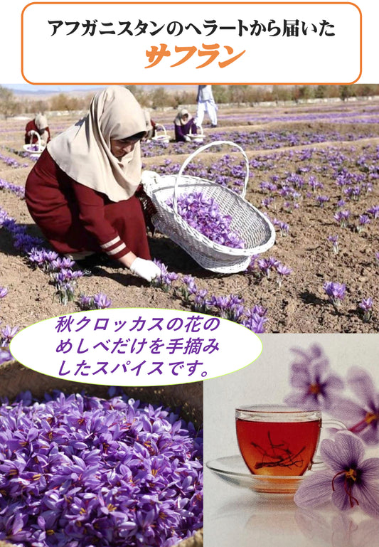 サフランの産地ヘラート、アフガニスタン西部地震被害への支援について