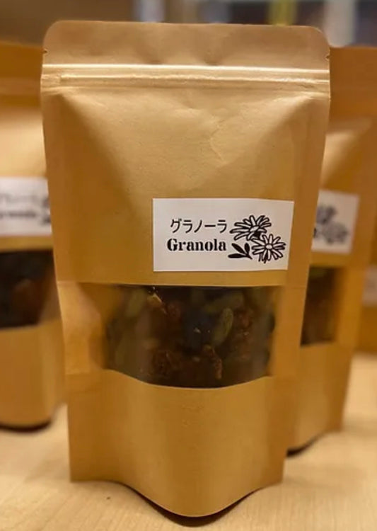 レーズンペーストで甘みたっぷり【無糖フルーツグラノーラ】100g・天日干しフルーツ&ナッツたっぷり