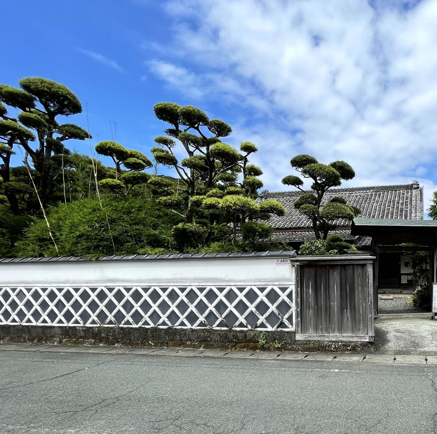 【伊豆松崎産】香り柔らか・レモングラスハーブティー・ティーバッグ5個入り・農薬不使用【レターパックライト・全国一律430円配送可】