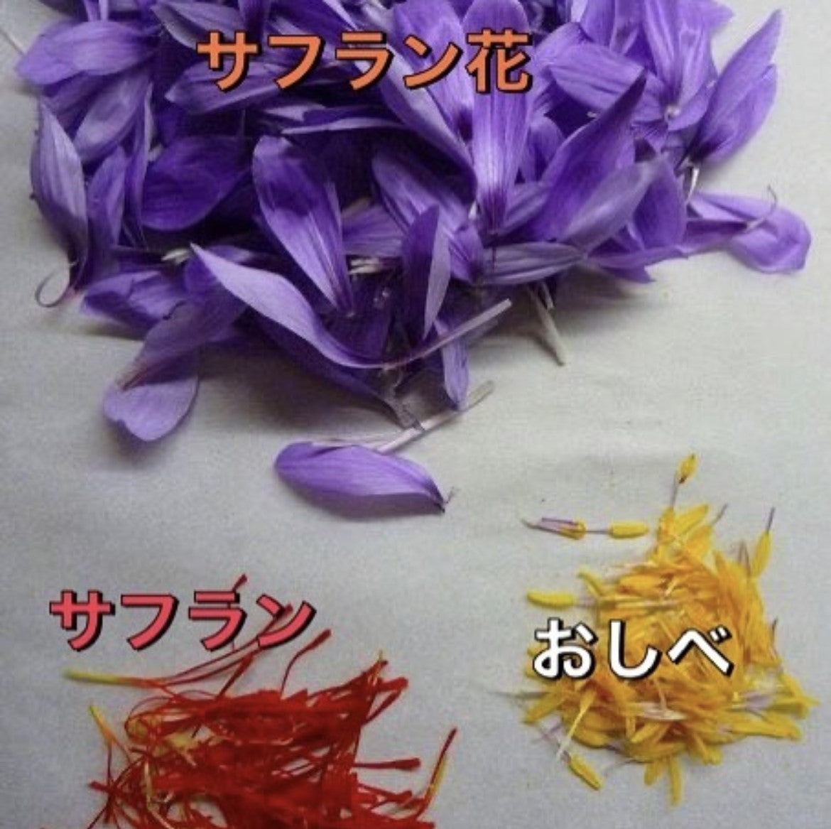 NEW【個包装ティーバッグのアソートA】カモミール(サフラン入り)3包&レモングラス3包【レターパックライト対応可・全国一律430円配送可】