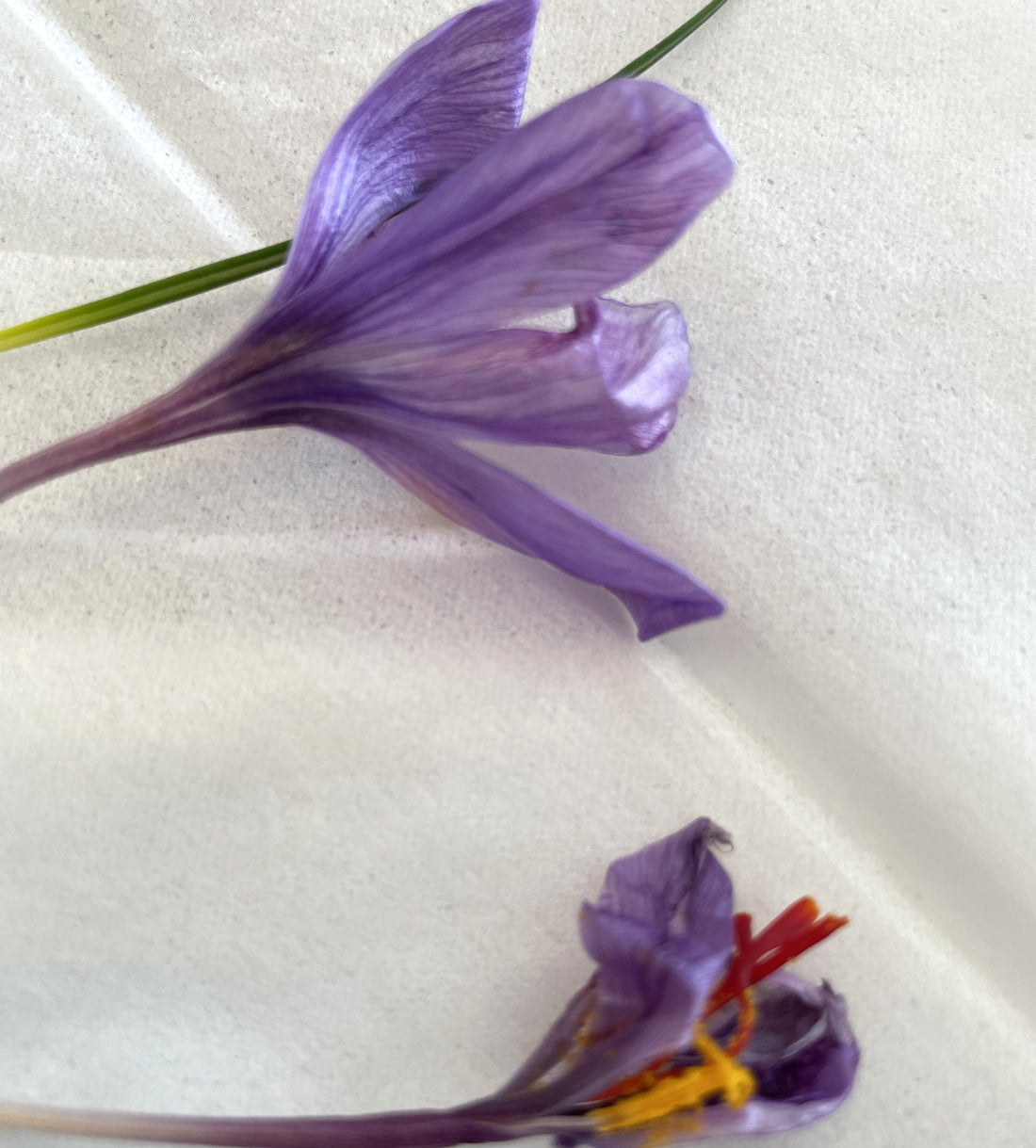 【春ワークショップ開催』自分を愉しむ～『サフランの愉しみ方』カップはリシタン陶器をご用意・こちらをクリック★